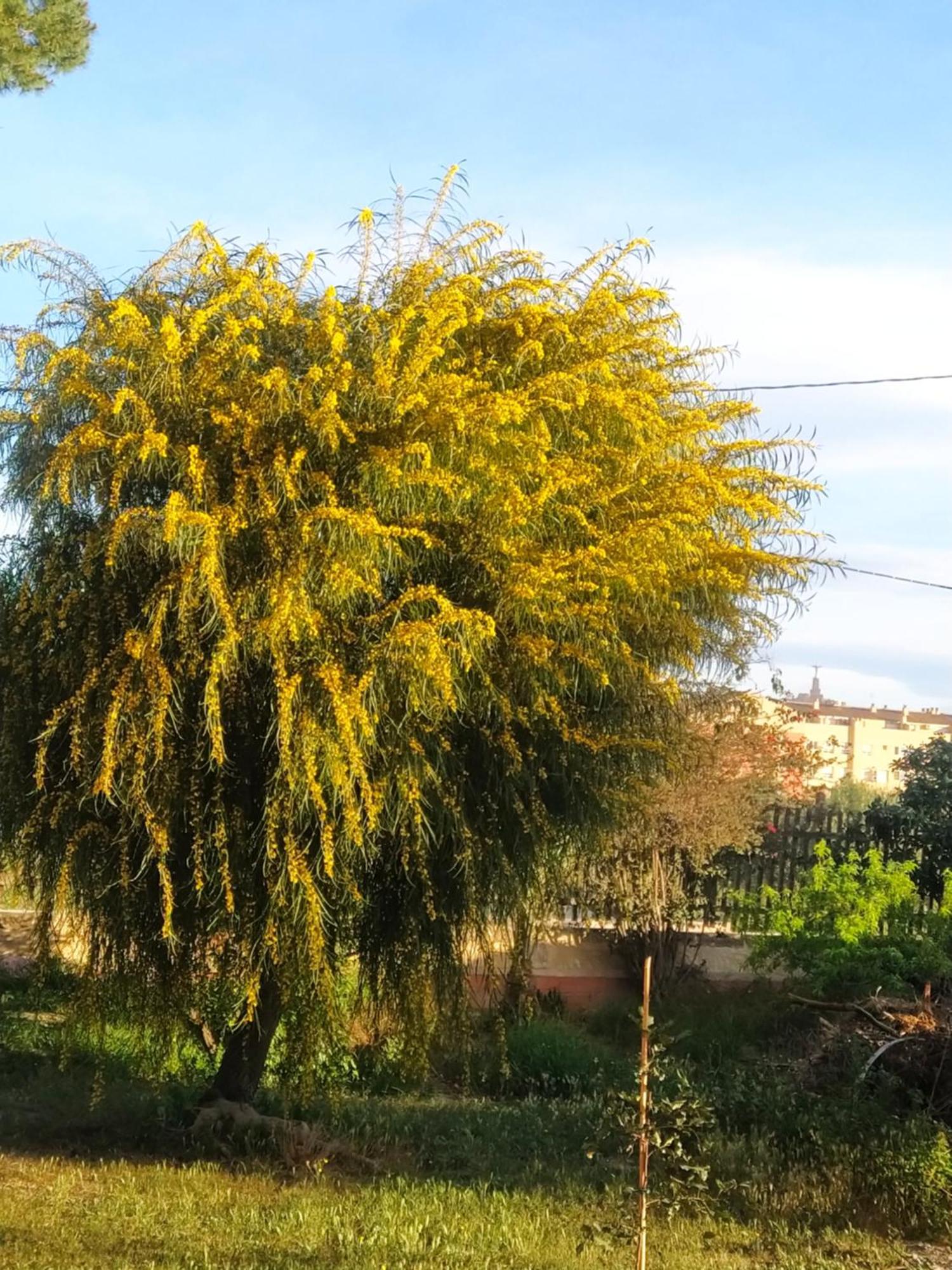 La Toscana Séjour chez l'habitant